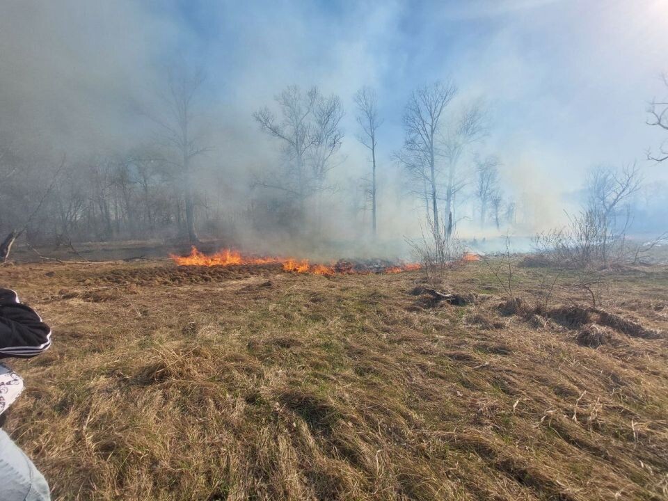    Пожар под Барнаулом. Источник: t.me/incident22