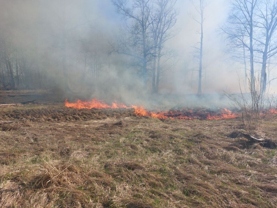    Пожар под Барнаулом. Источник: t.me/incident22