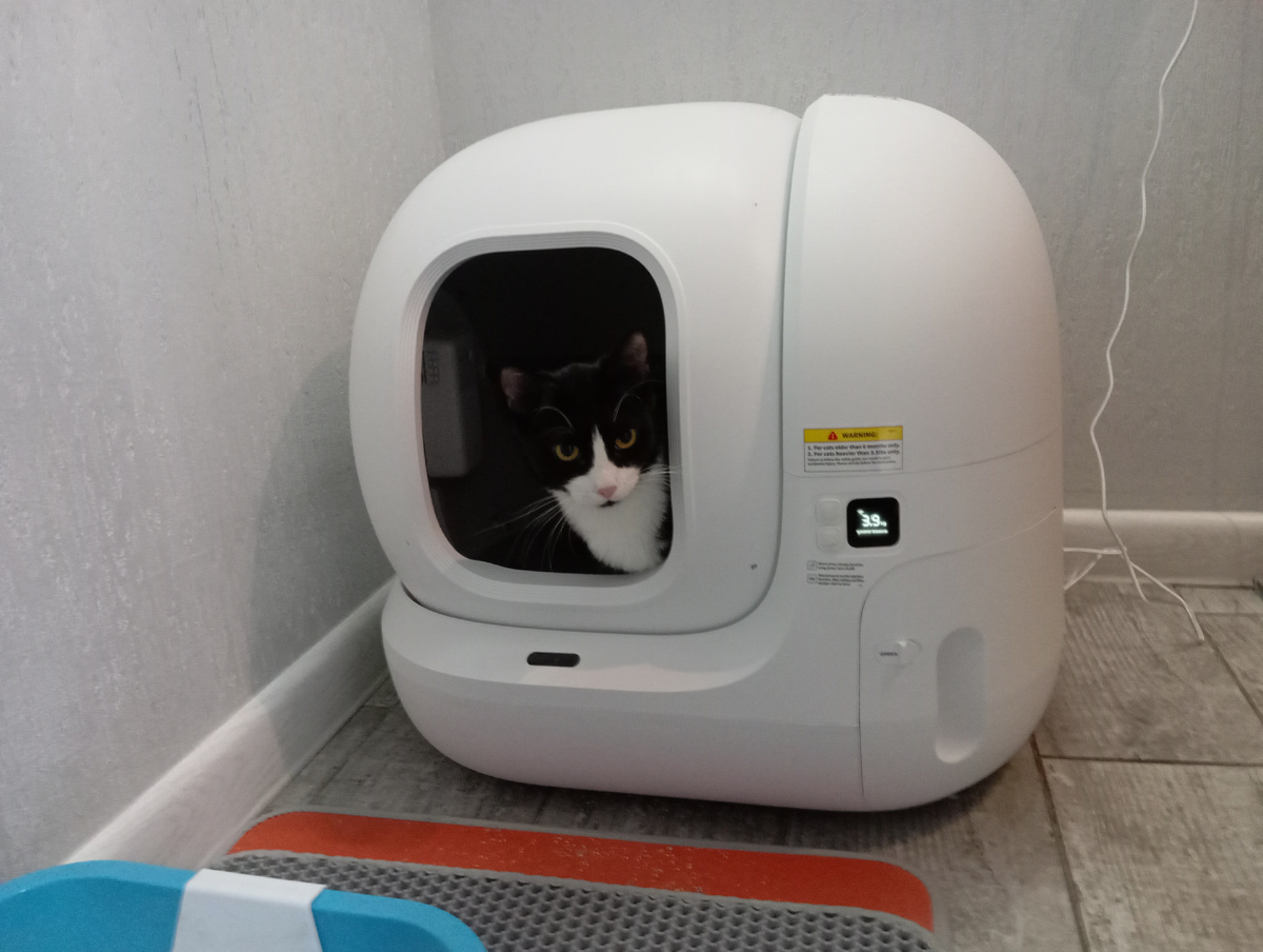 Александр и его любимый pet kit pure max 2, на экране  каждый раз фиксируется вес, он же передается в программу