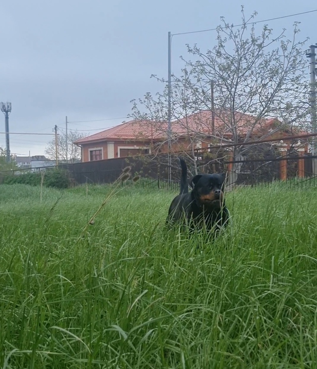 На воскресной прогулке. Всем Доброе Утро!