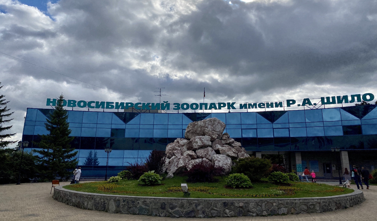 Фото из интернета