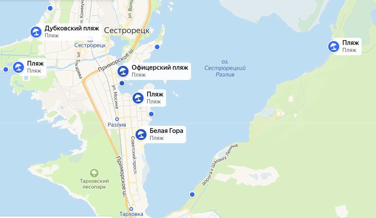 Карта Сестрорецкого разлива (пляжи)