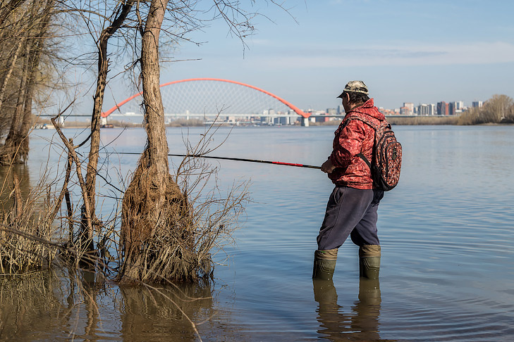    Фото Андрея Заржецкого