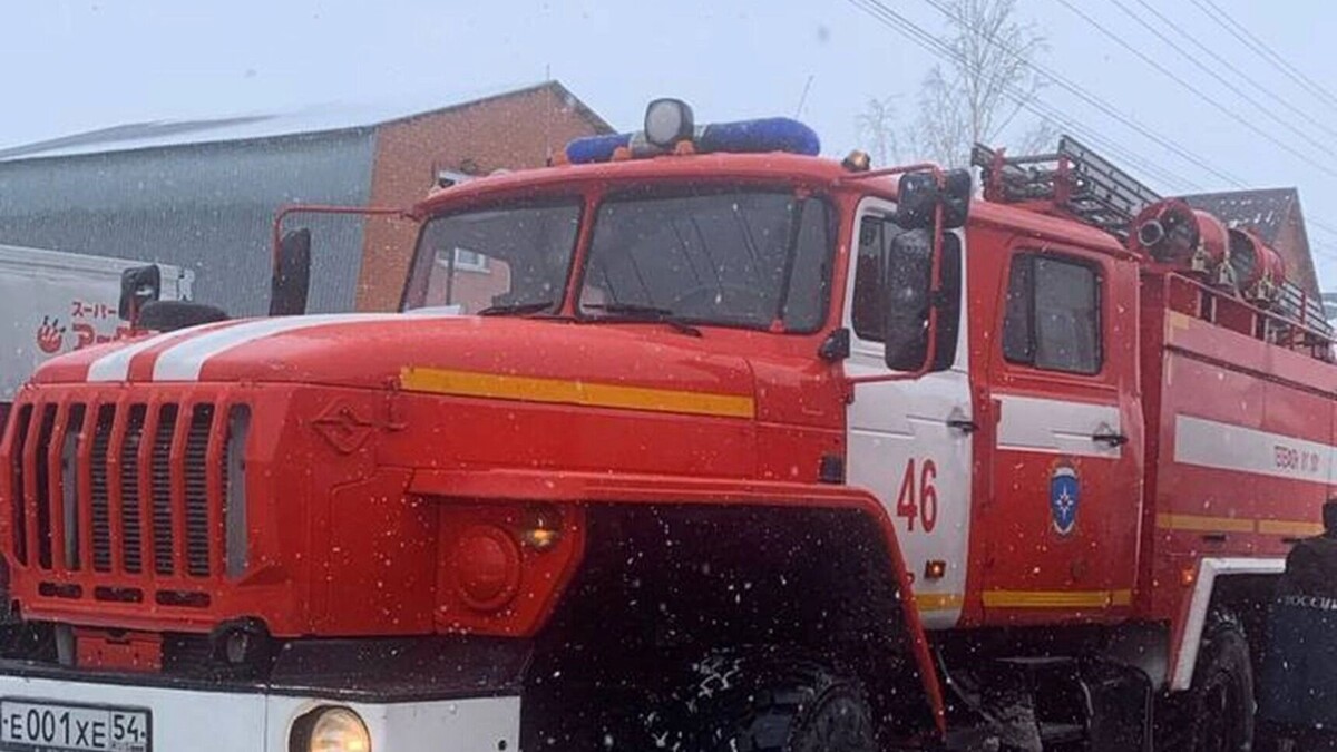     Источник: пресс-служба МЧС РФ по Новосибирской области