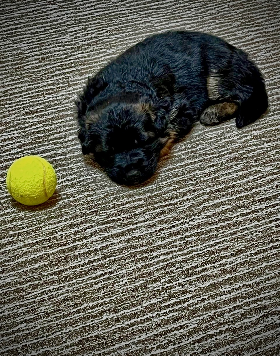 Сон по расписанию-всегда