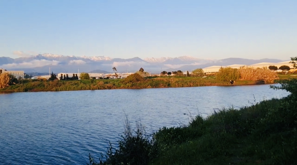 Адлер 2025. Фото автора.