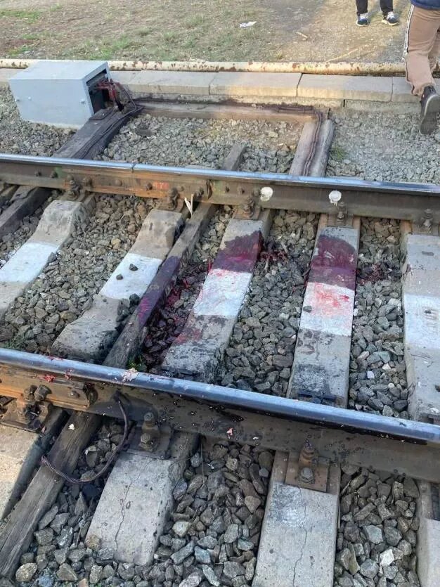 Фото: читатель «Урал-пресс-информ»