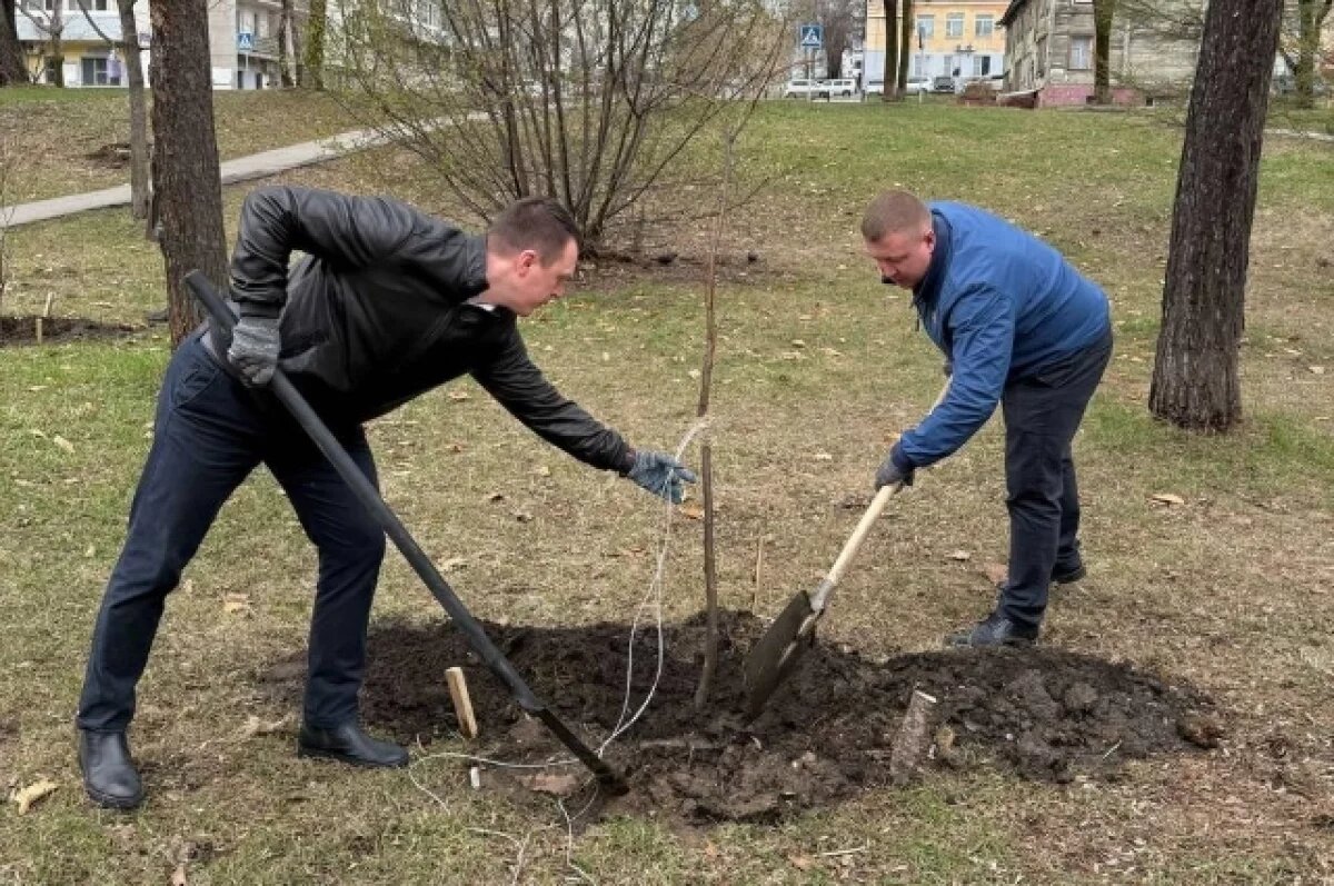    В Хабаровске «Сады памяти» высажены судьями и прокурорами в честь Победы
