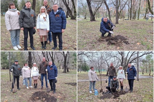    Сад памяти Фото: телеграм-канал Суды Хабаровского края