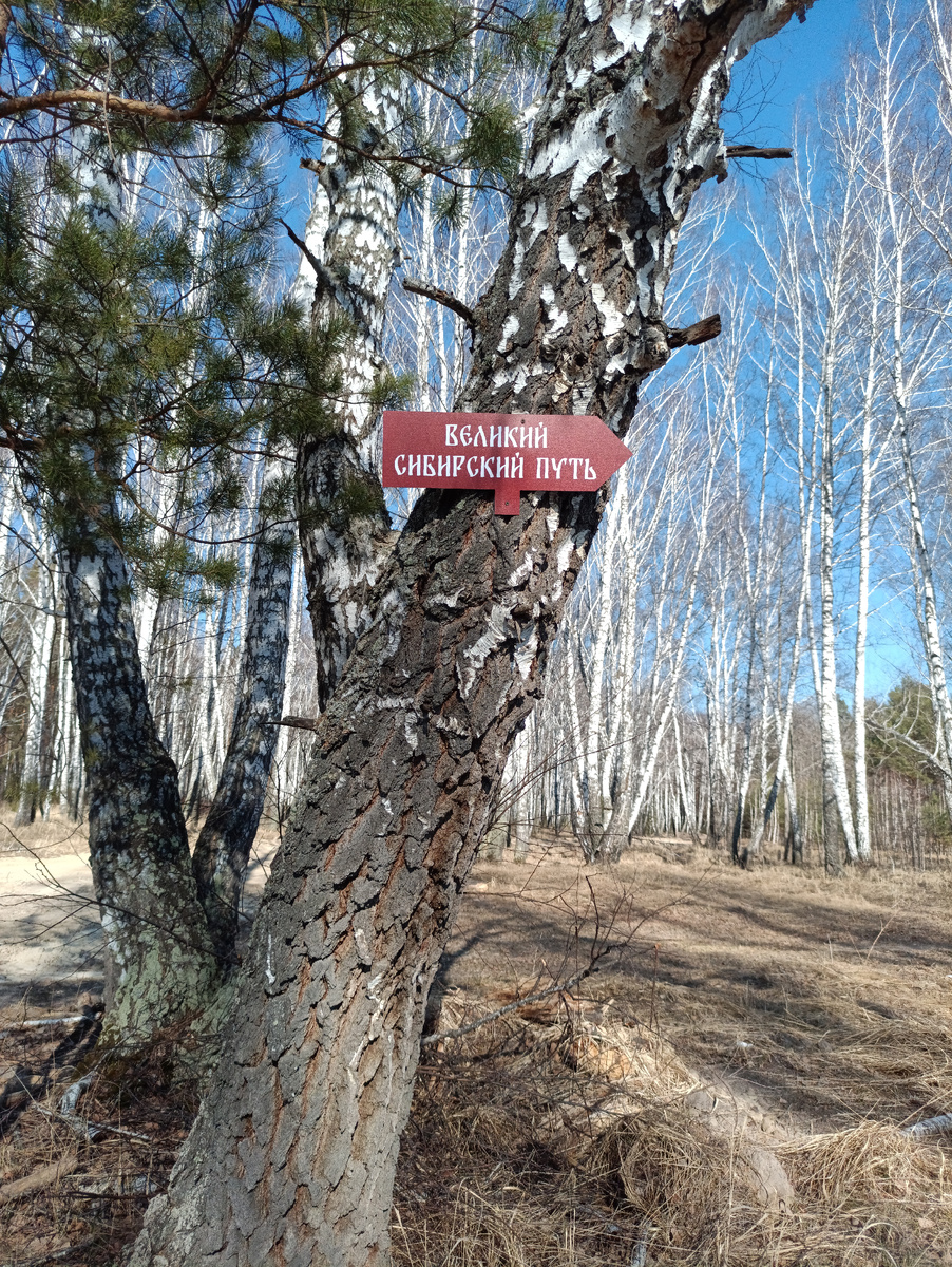 Локация выбранная нами была проверена не одним сезоном охоты.