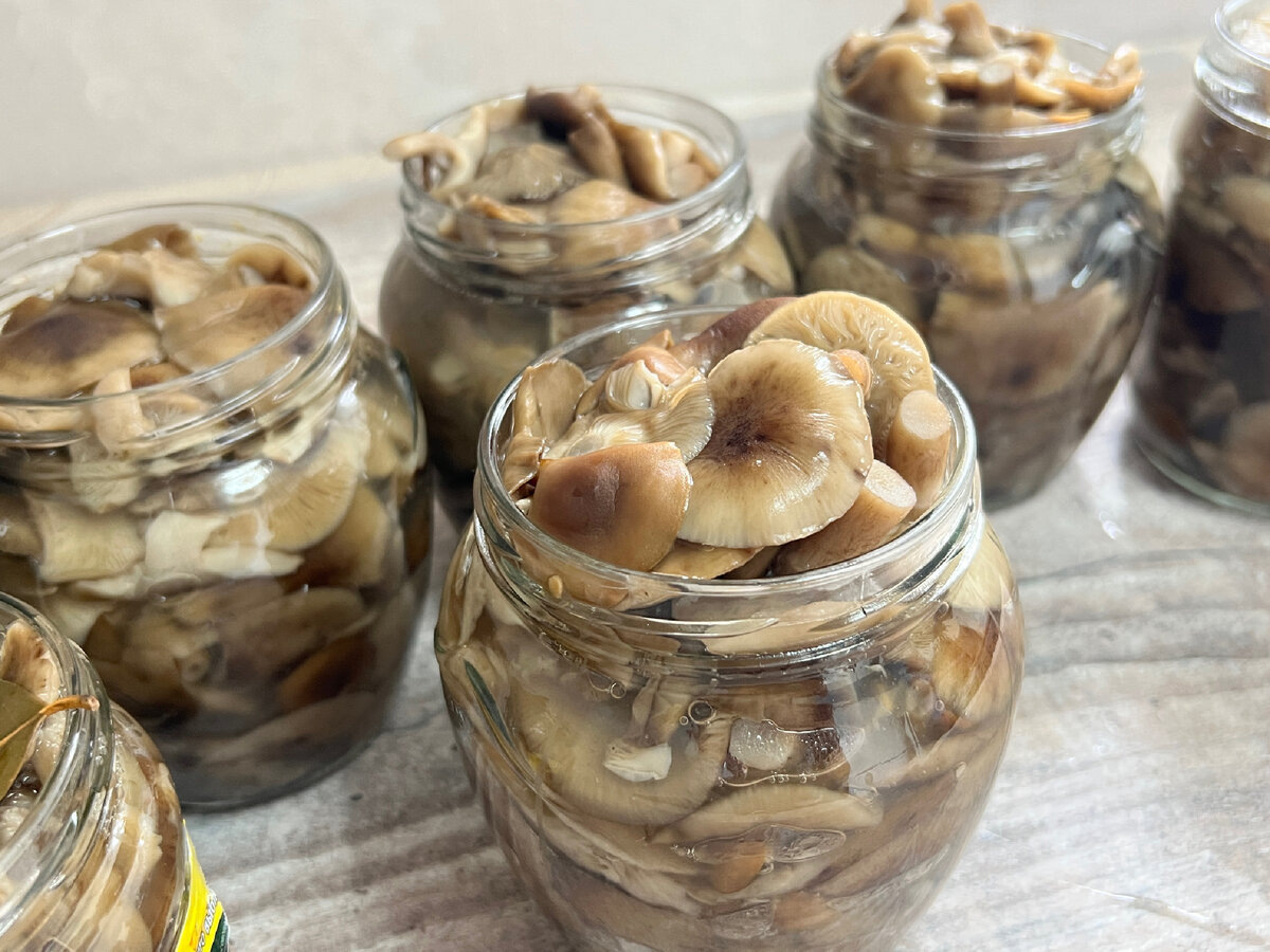    Секретный рецепт солёных вёшенок с морковью из советского подвала