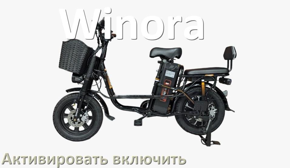 
Как активировать электровелосипед Winora включить и разблокировать его через Bluetooth и приложение