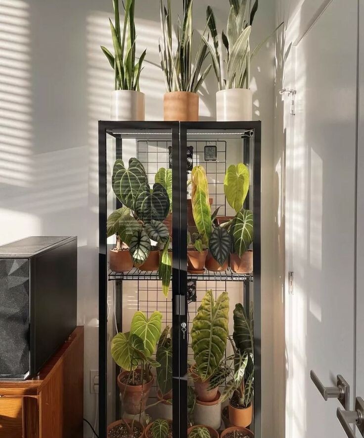 Фото из Пинтерест. Источник: https://ru.pinterest.com/pin/131941464075393679/