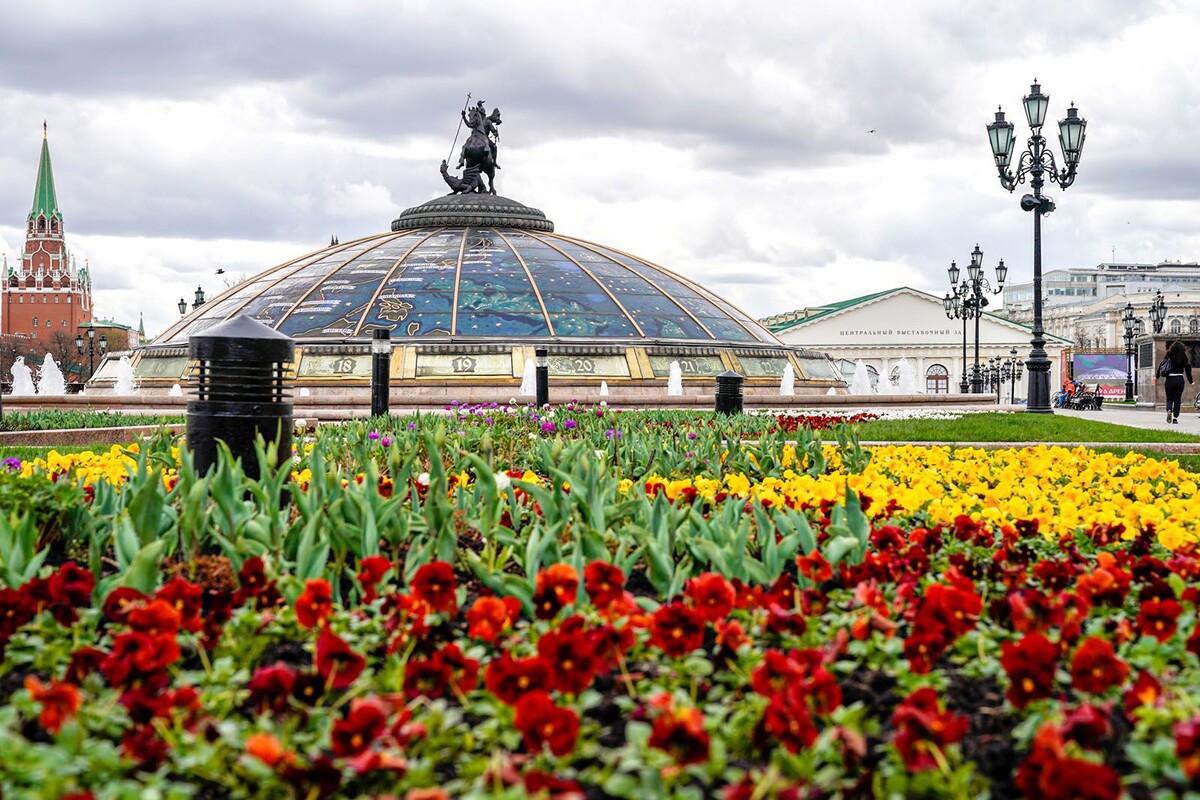 Источник фото: mos.ru