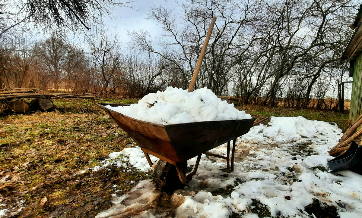 Фото автора. 
