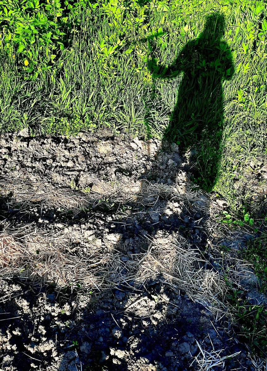 Фото автора. Дача очень стройнит, я считаю)