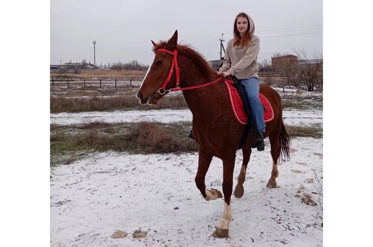    За год можно научиться уверенно держаться в седле.