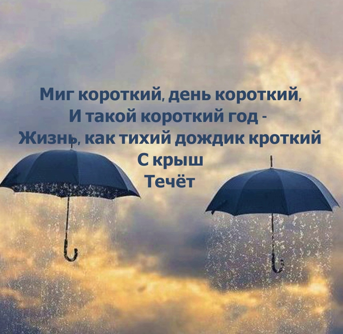 Коллаж автора