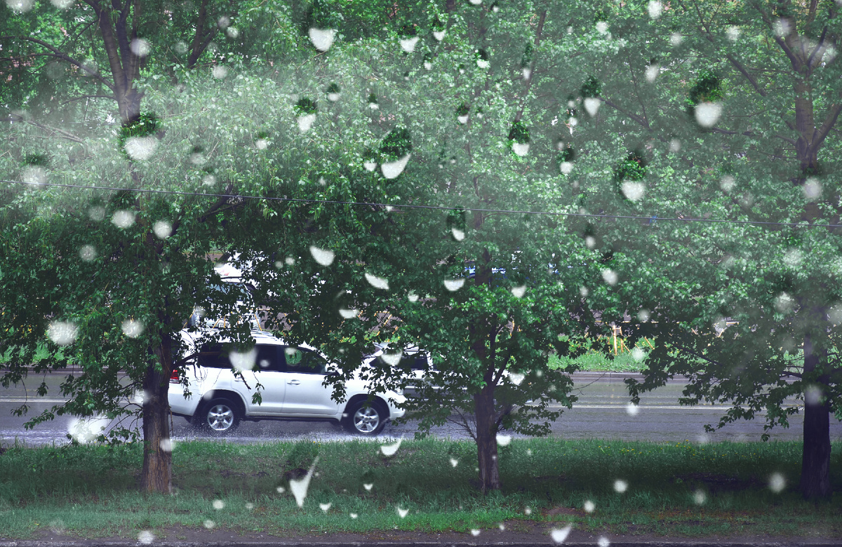 Копирование фотографий запрещено. Контент является интеллектуальной собственностью. Защищён авторским правом.