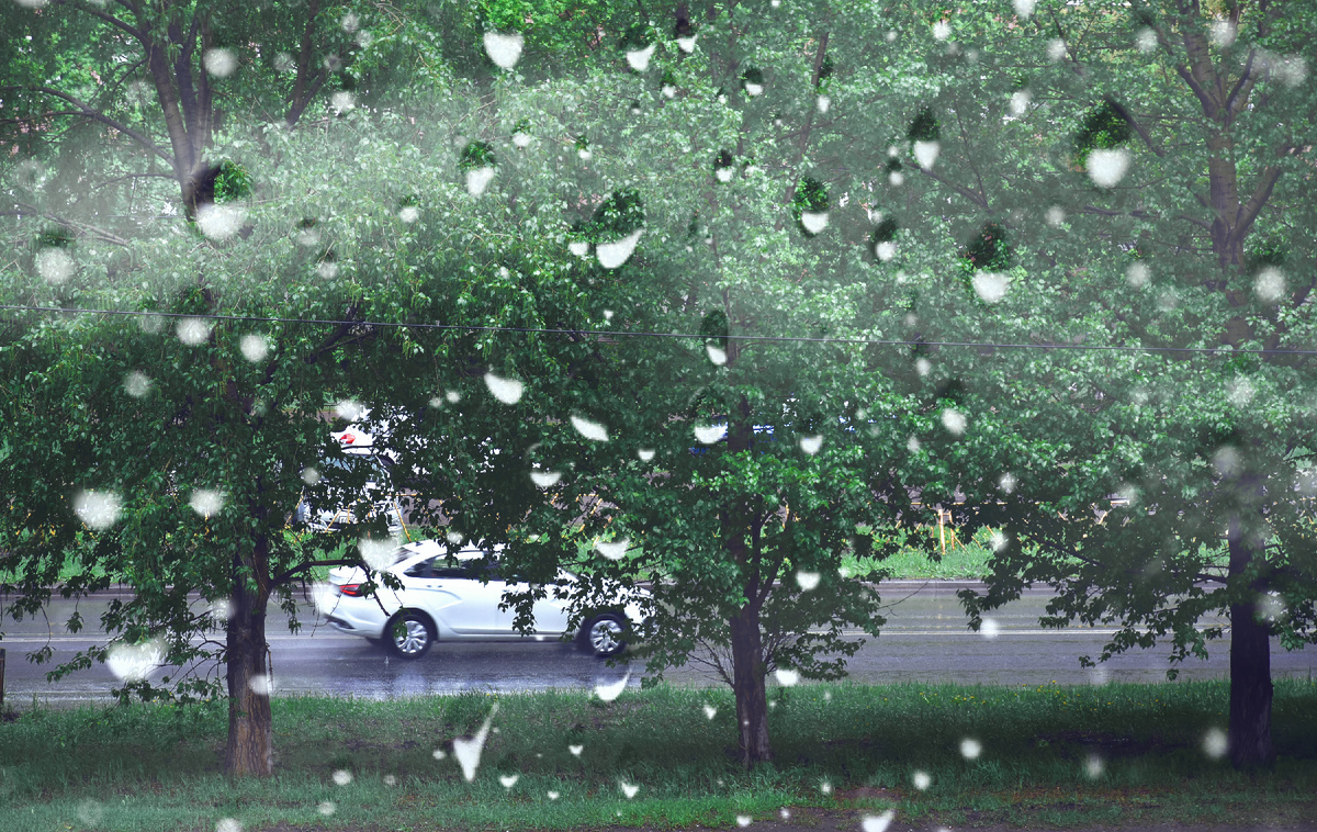 Копирование фотографий запрещено. Контент является интеллектуальной собственностью. Защищён авторским правом.