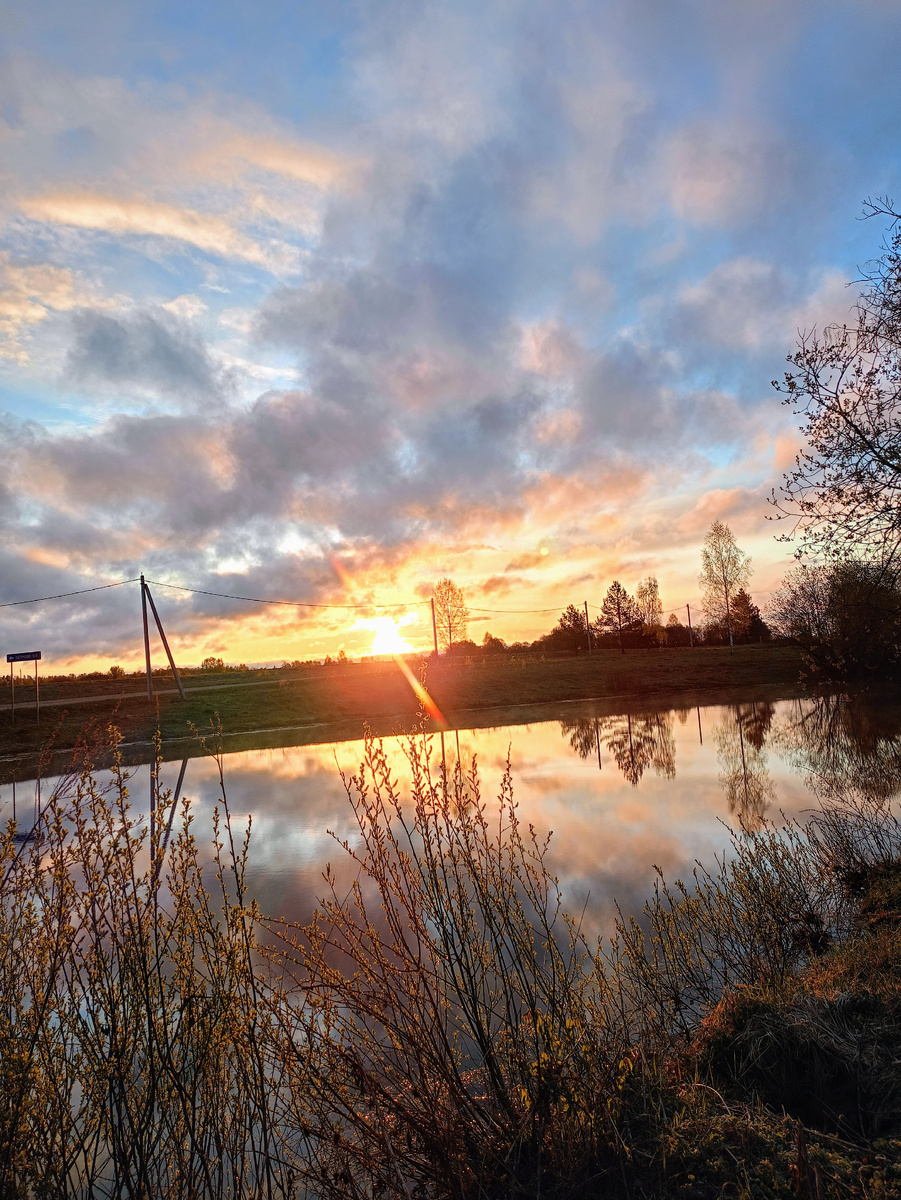 Но чудо же!!! И мусор в ста метрах( добро победит! 