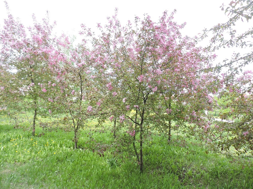    Фотография из архива редакции. Май 2023 года