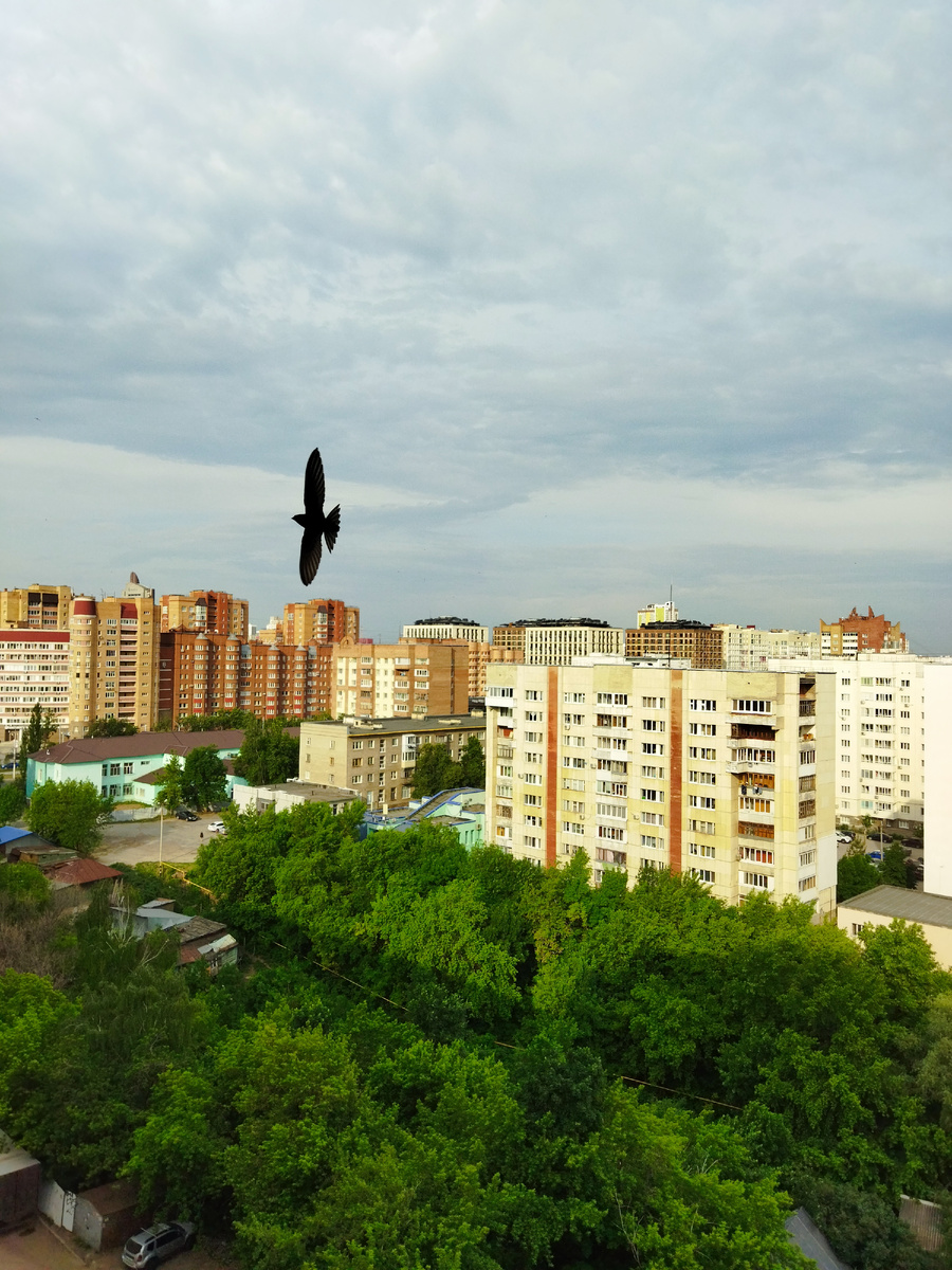 Фото из личного архива автора