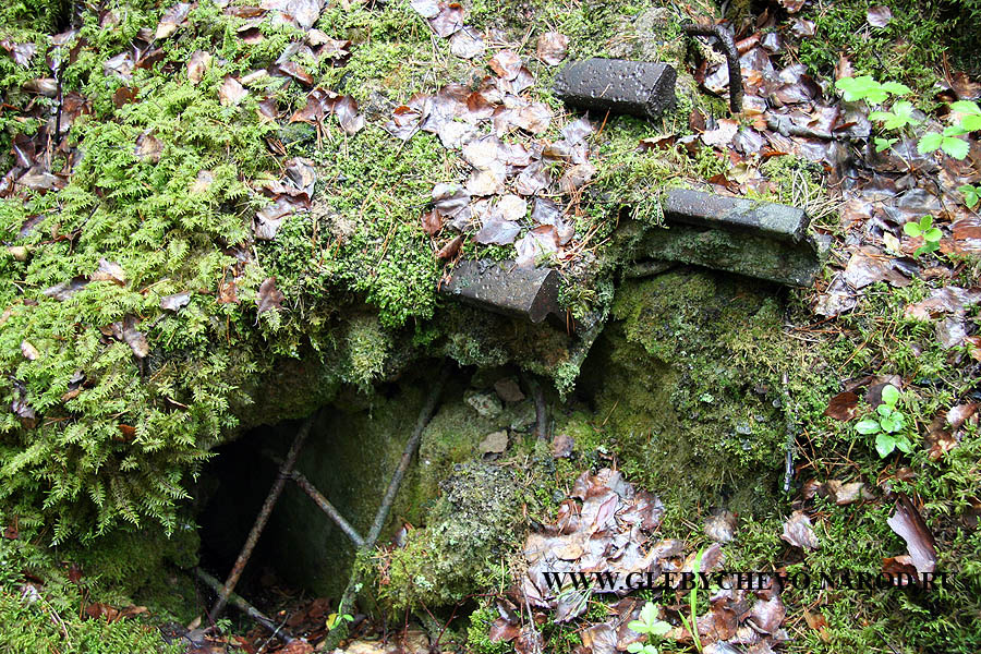 N2 - Хорошо видны элементы усиления конструкции ДОТа