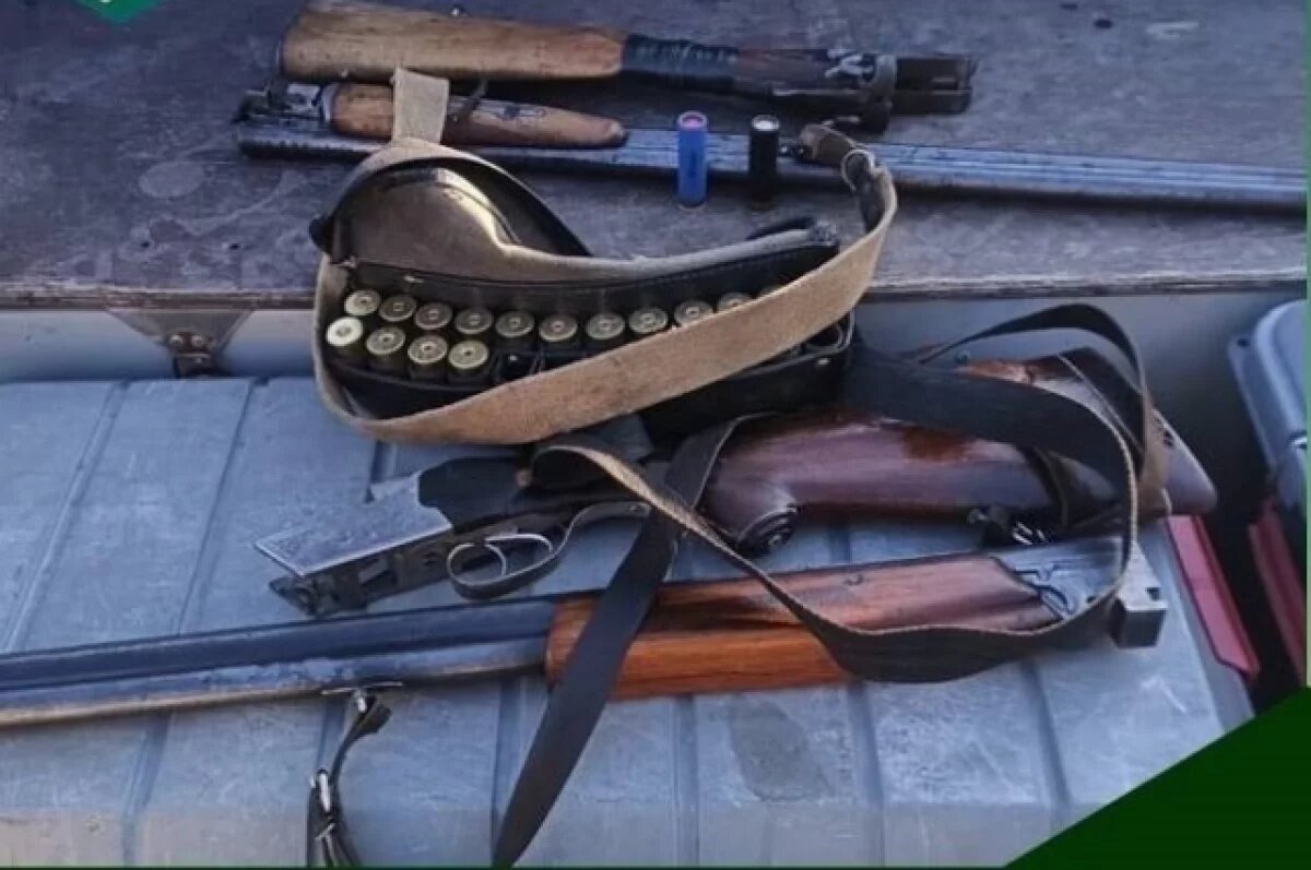    Охотнадзор Хабаровского края за неделю выявил 9 нарушений и изъял оружие