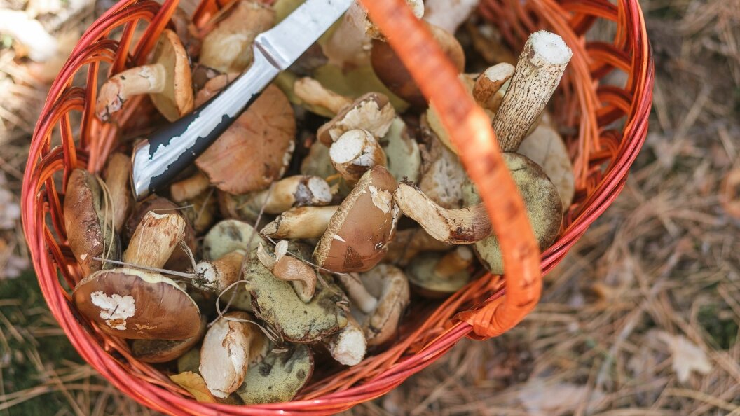    Фото: freepik.com