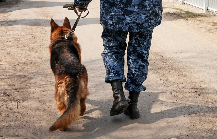    Алексей Белкин/NEWS.ru