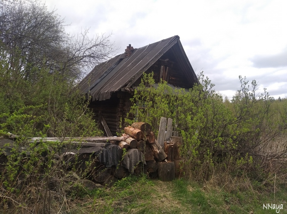 Кто-то тут бывает. Или бывал.