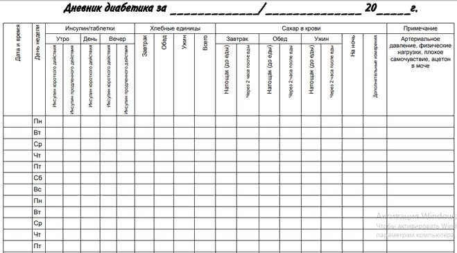 Пример шаблона страницы дневника на бумажном носителе 