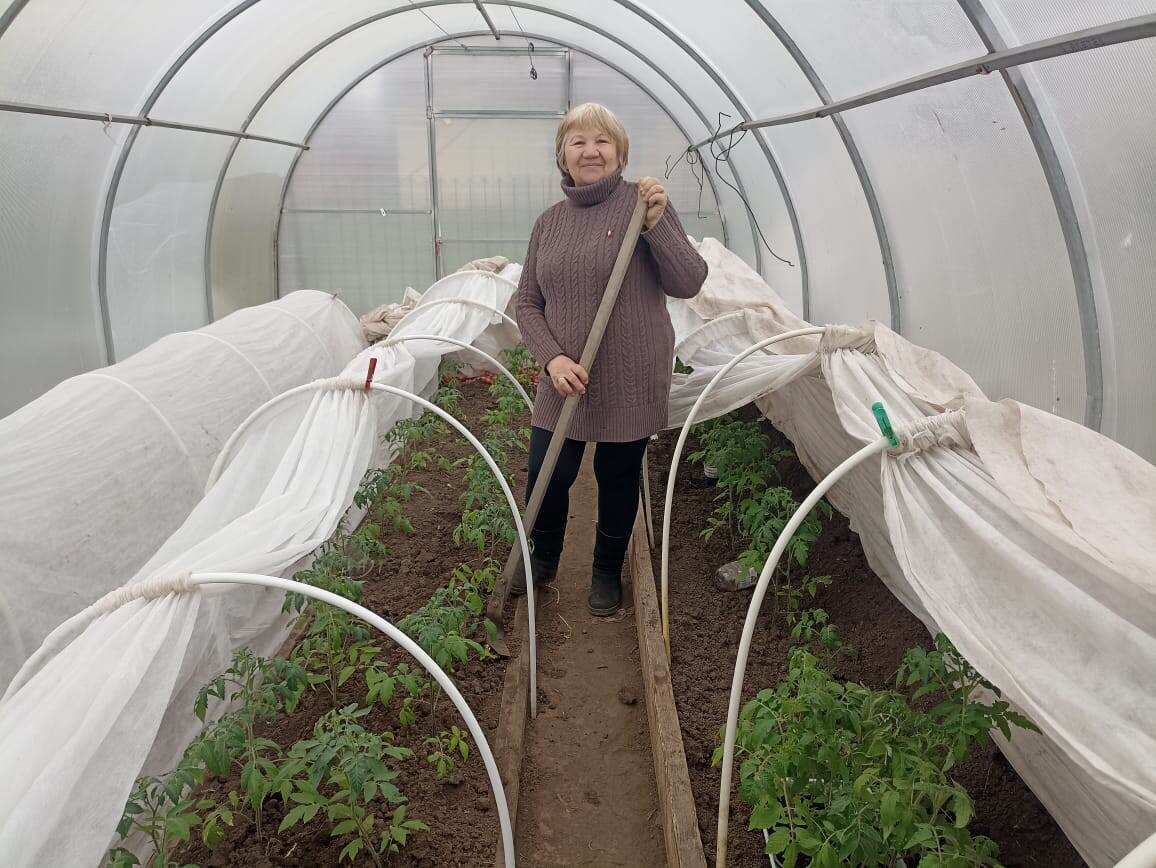 Хотите ранний урожай своих томатов? Это реально! 