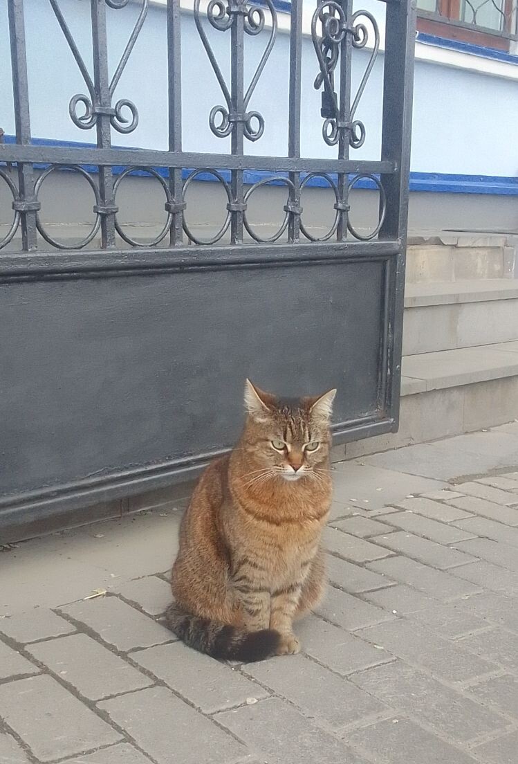 Опять ты про свой кешбэк? 