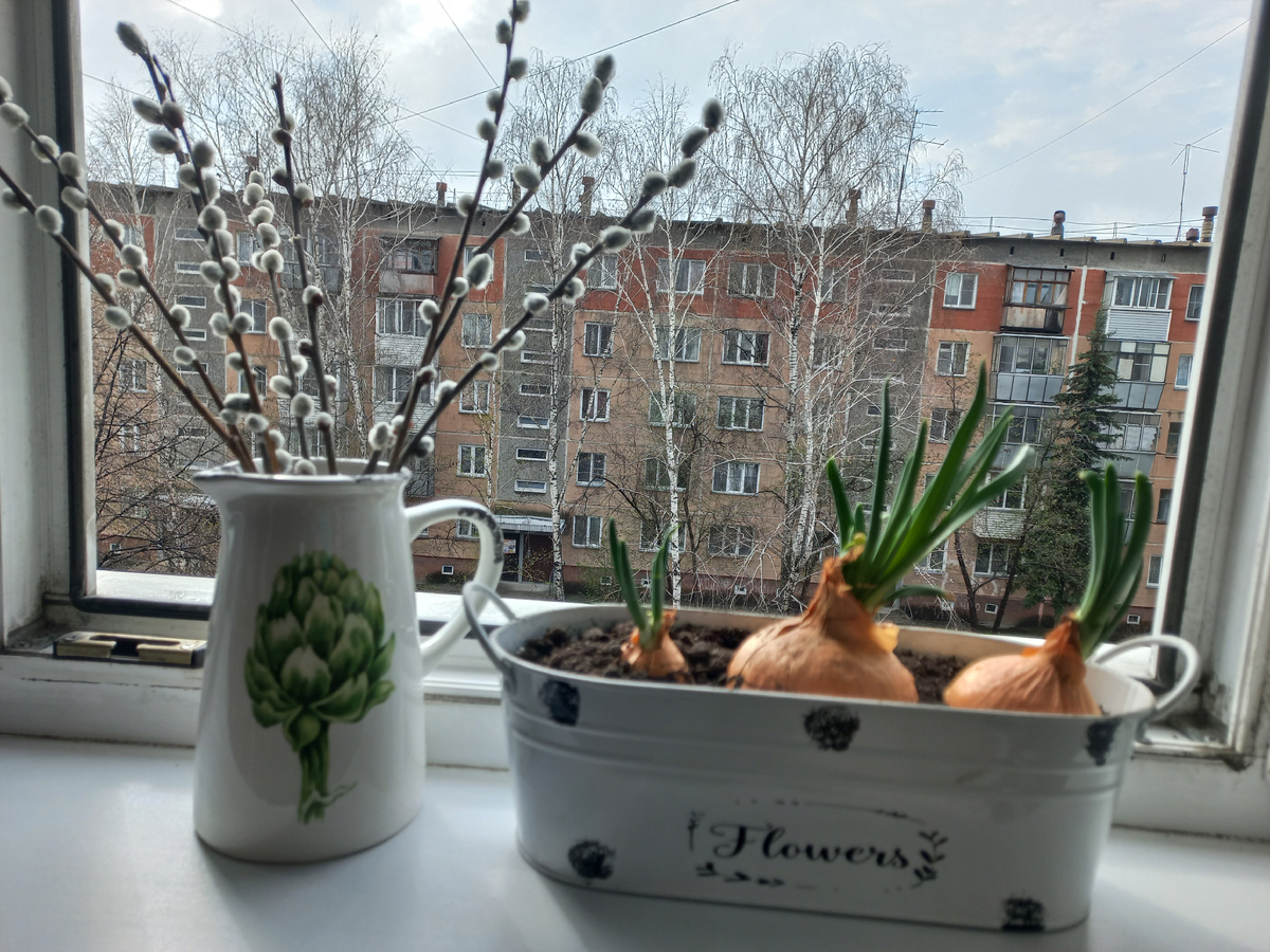 Весна в открытом окне