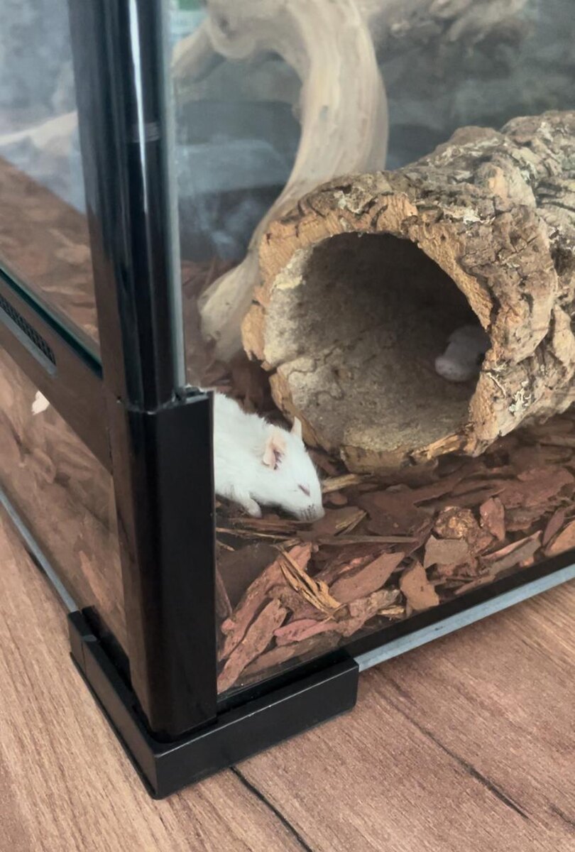 Сегодня что то нет аппетита...