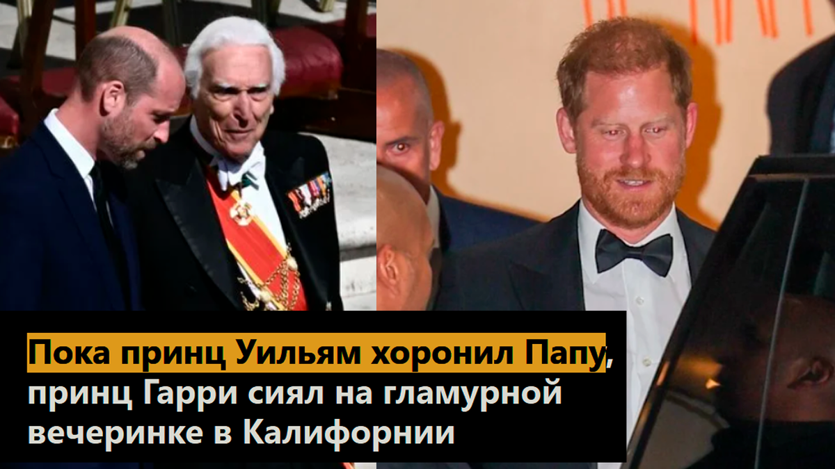 Коллаж автора