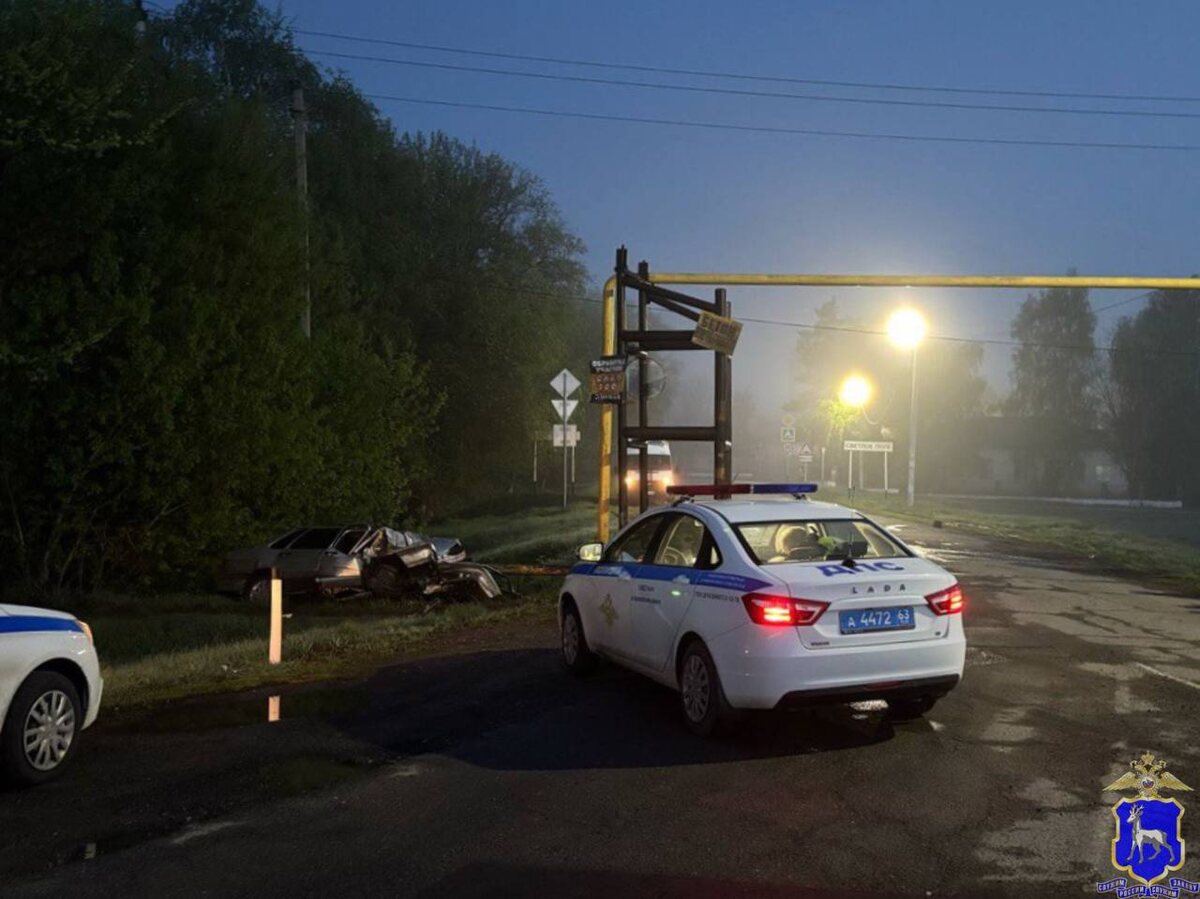    Фото: ГУ МВД по Самарской области