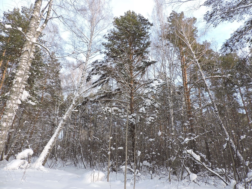    Фото Анны Зубаревой