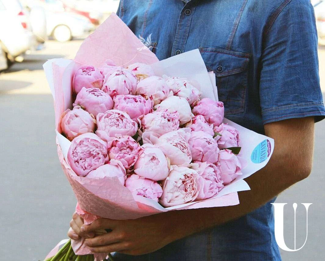 Фото Яндекс картинки.