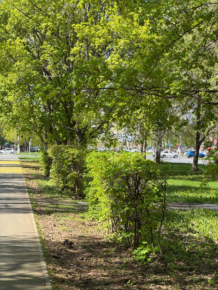 Фото из личного архива