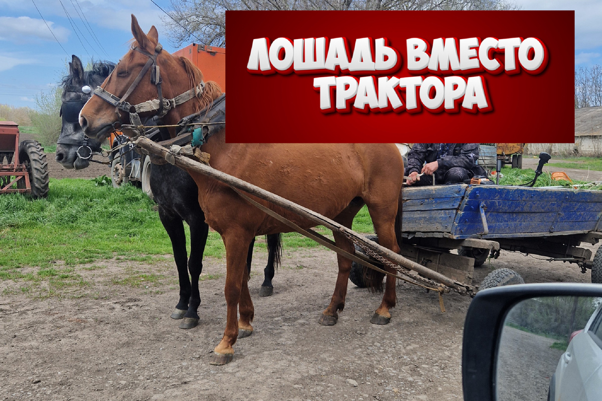 Почему трактор стал роскошью?