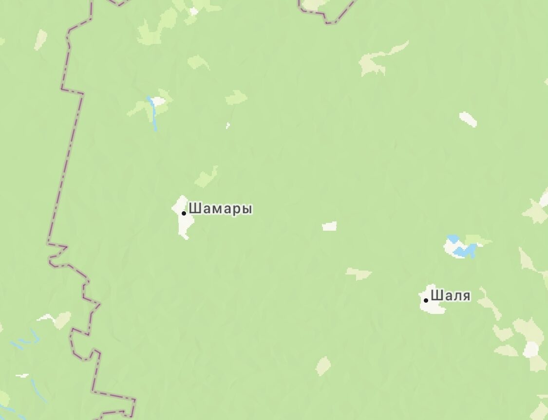 Дальше Шамар даже электричка не идёт, там уже Пермский край ⏩⏩