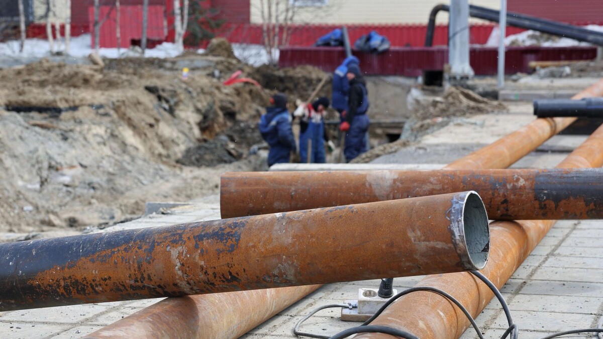    Фото: Андрей Ткачев/«Ямал-Медиа»