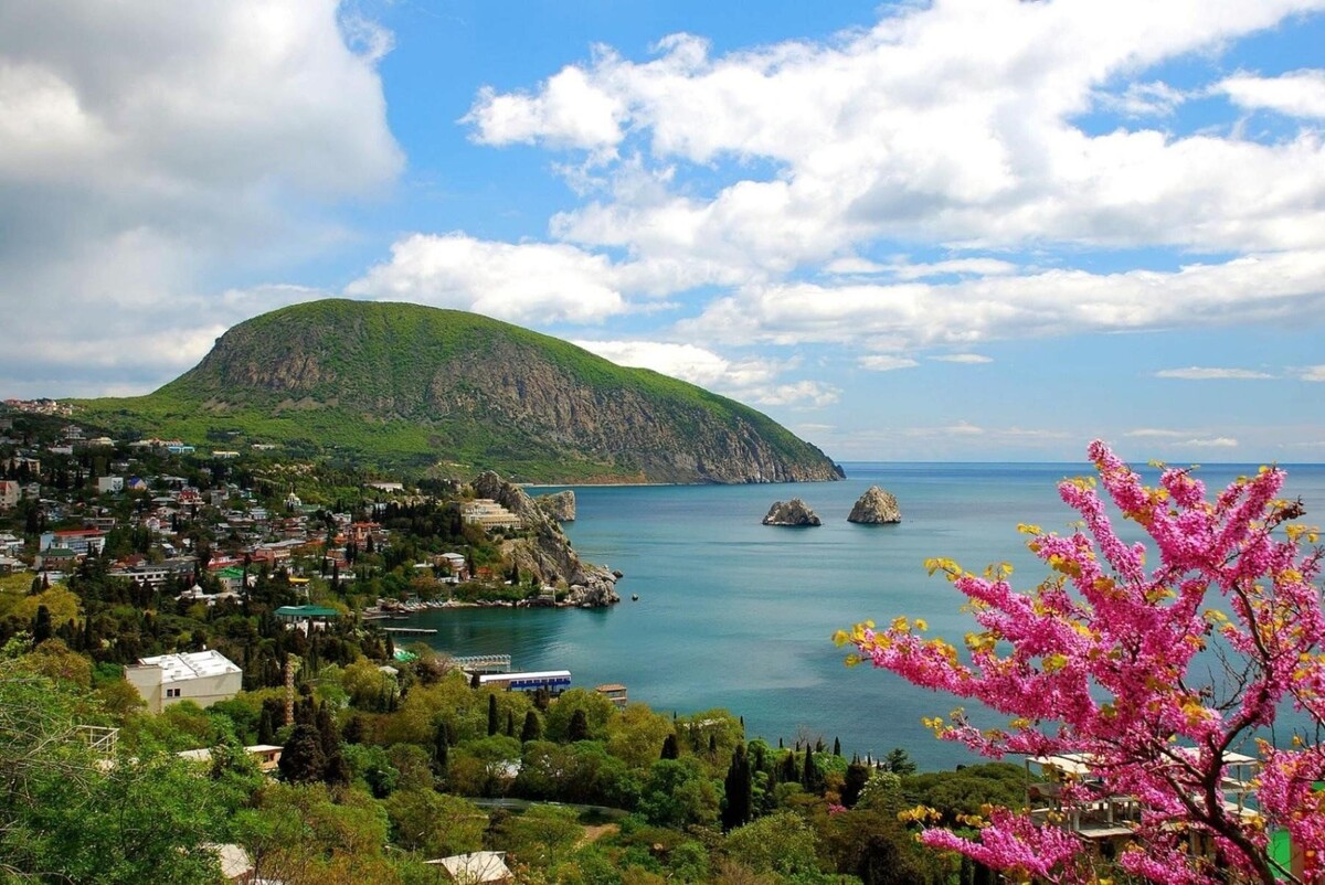 Фото взято с просторов интернета