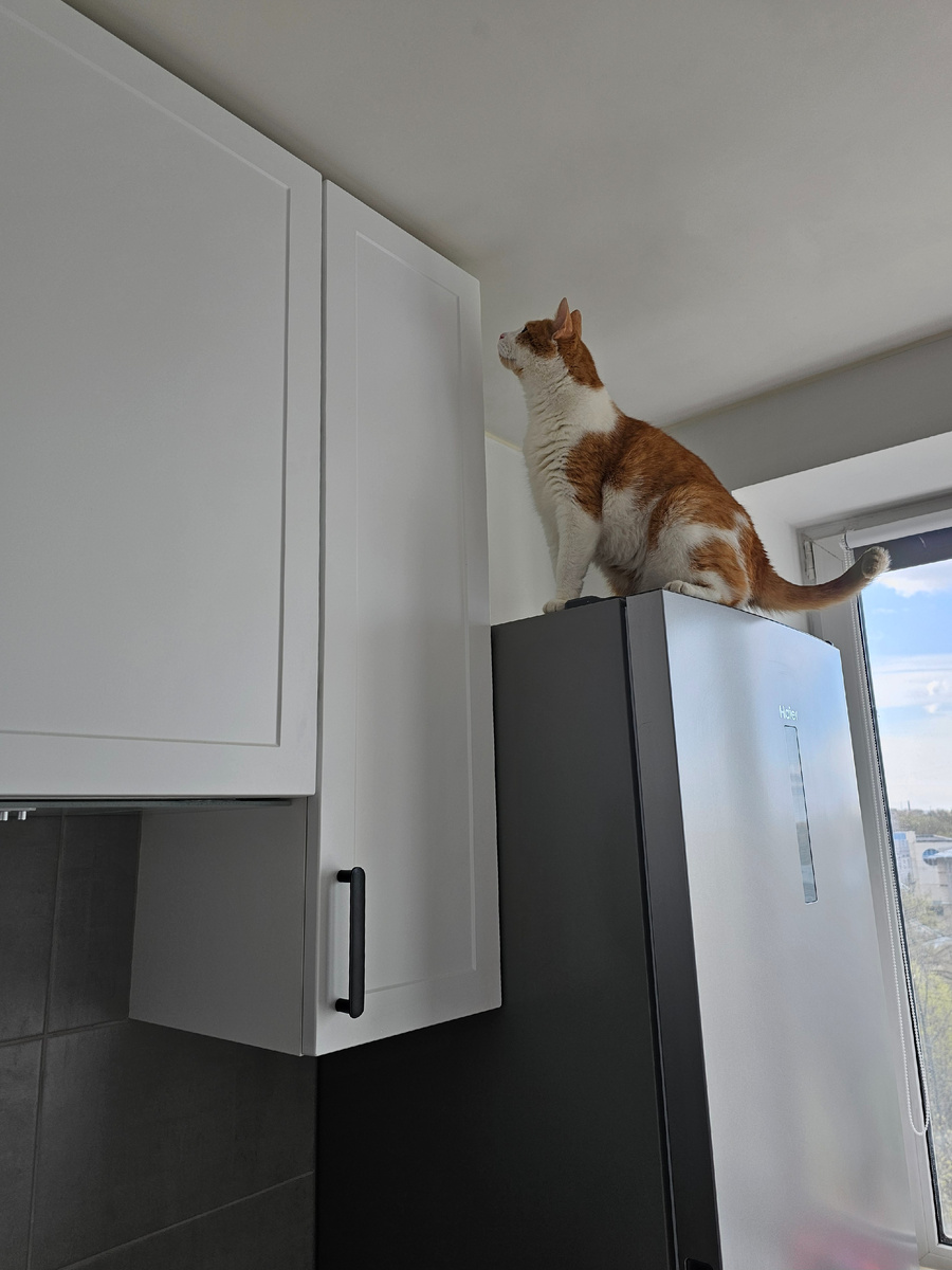 Хозяева оказались с гнильцой)