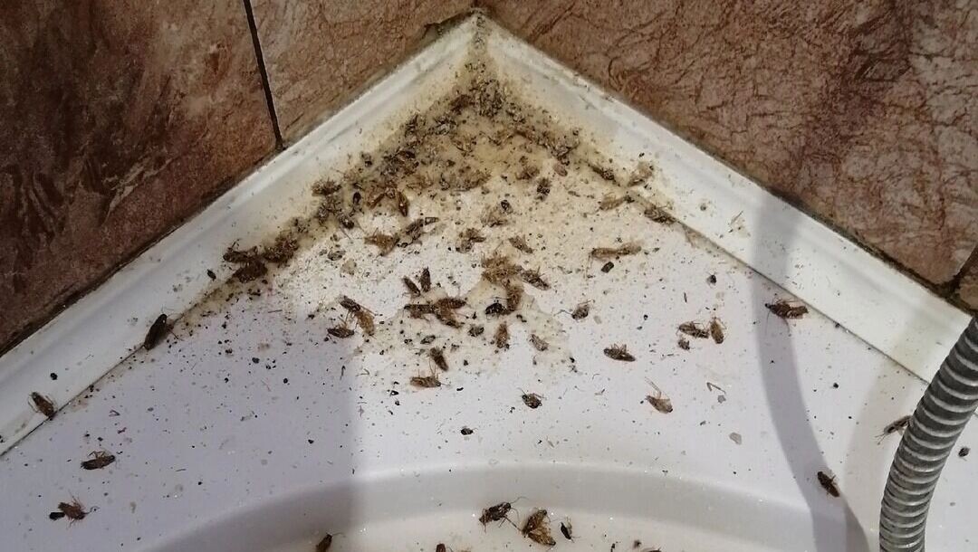     Источник: страница Вячеслава Гладкова