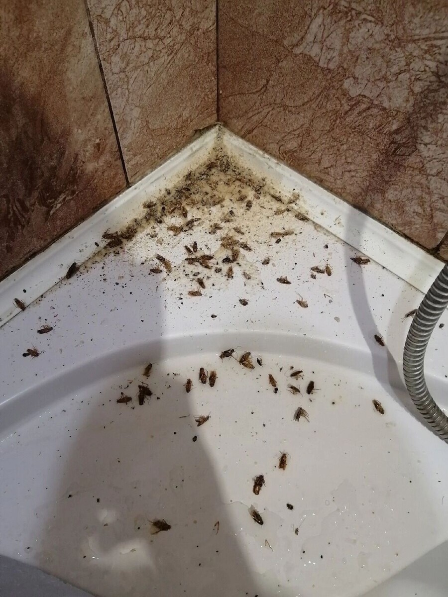     Источник: страница Вячеслава Гладкова