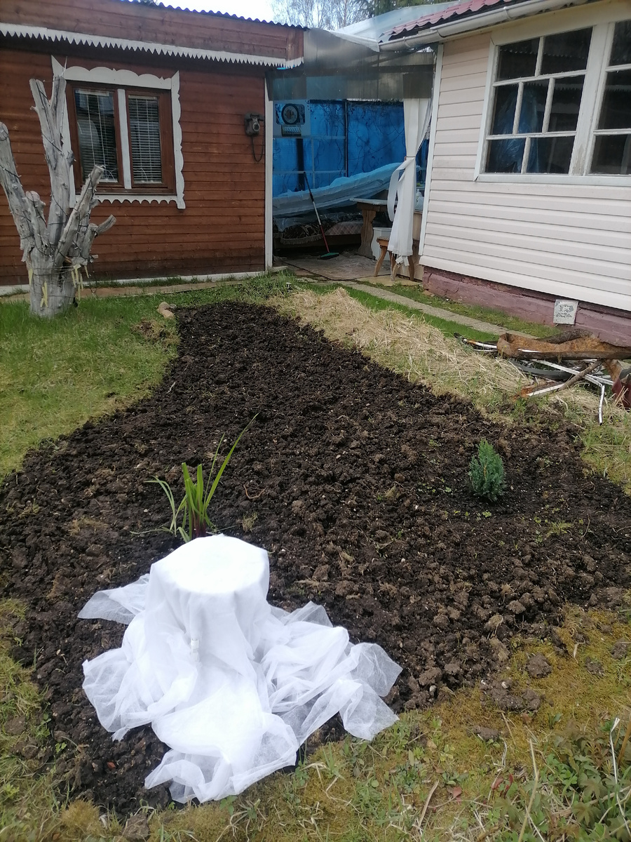 Клумба(начало)